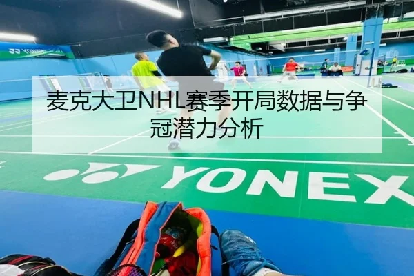 麦克大卫NHL赛季开局数据与争冠潜力分析
